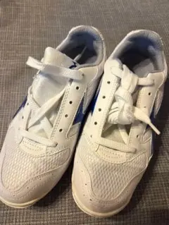 Item thumbnail for item 9817b6f5-a23d-4ae7-bad8-9f7cb7342163