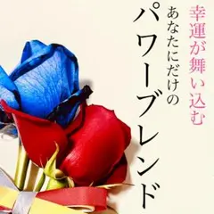 アポロン様 リクエスト 2点 まとめ商品