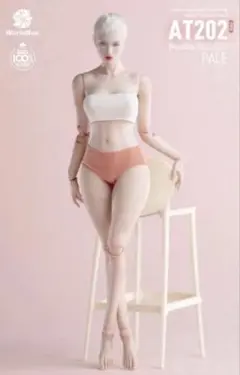 1/6 WorldBox GIRLS BODY AT202 PRO 素体