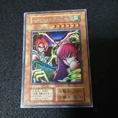 ハーピィレディ