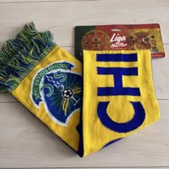 【200本限定品】栃木SC サッカー 応援マフラータオル Jリーグ