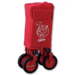 新品未開封品 広島東洋カープ アウトドアリュック ( キャップ収納付 ) NEW ERA ２０１９年 / 限定５００個 抽選販売 当選品