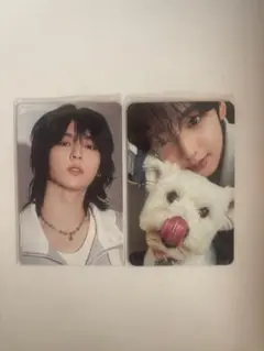 zb1 ゼベワン タワレコ HMV 特典 ラキドロ トレカ ユジン 犬 封入