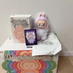【正規品未使用】【 LABUBU ラブブ 】ビッグイントゥエナジー LUCK