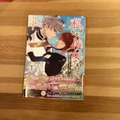 私はただの侍女ですので : ひっそり暮らしたいのに、騎士王様が逃がしてくれませ…