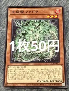 天盃龍