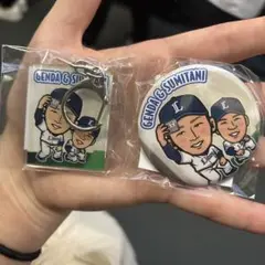 埼玉西武ライオンズ　#6源田　#27 炭谷