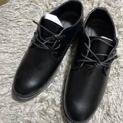 Item thumbnail for item a4a9be4f-8ef1-48bb-a5ba-851bcd90a217