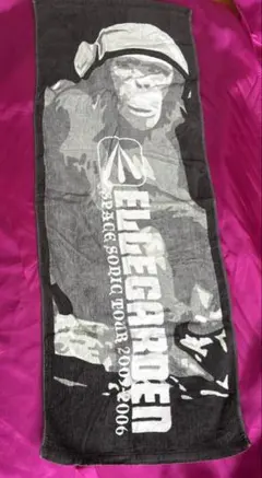 ELLEGARDEN SPACE SONIC TOUR 2005-2006タオル - メルカリ