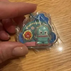 サンリオキャラクターズ♡ハンギョドン