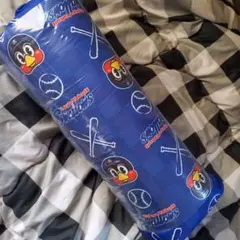 Item thumbnail for item 21e80245-186a-4bea-972b-df679b3664aa