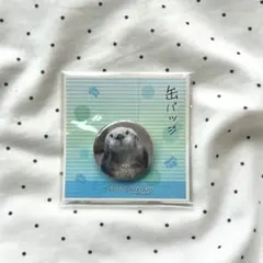 鳥羽水族館 ラッコ メイ 缶バッジ ミニ缶バッジのサムネイル
