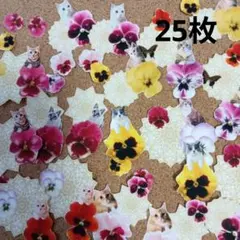 Item thumbnail for item 286cdb70-40bd-42f8-8e69-bf99173ffca6