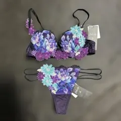 ワコール サルート 51G VI ブラC65 ソング Mサイズ