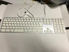 Apple Keyboard A1243 日本語JIS【ジャンク】
