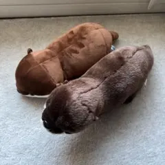 カワウソ ぬいぐるみ 2点セット