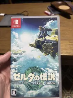 ゼルダの伝説 ティアーズ オブ ザ キングダム