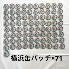 ワイテルズ Nakamu 横浜 缶バッジ タワばら 141点 ワイテルズ Nakamu 横浜 缶バッチ141点 タワばら - メルカリ