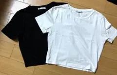 【ZARA】 クロップド丈/ショート丈/Tシャツ/ミニ T★M