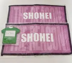 浦川翔平　the reason B HAPPY ガチャ カプセル