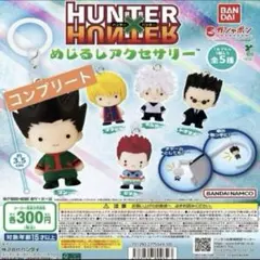 HUNTER×HUNTER めじるしアクセサリー コンプリート 5種