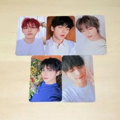 SANCTUARY DMM 特典トレカ 5枚セット