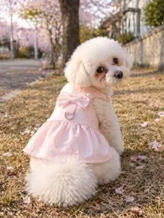 2026年最新】犬服ピンクドレスの人気アイテム - メルカリ