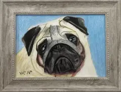 パグ　色鉛筆画