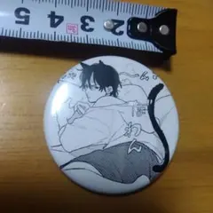 28 鈴丸みんた　缶バッジ キューピッドに落雷 BL