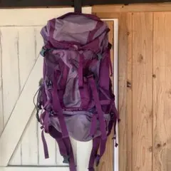 りりりす様専用　THE NORTH FACE W TELLUS 42 パープル