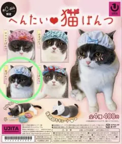 Item thumbnail for item 3496356f-ad45-4f18-aaec-0acafa28404c