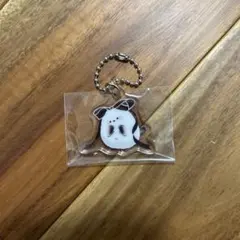 Item thumbnail for item 19a684d7-3483-4924-8c5a-9f20428ca7bc