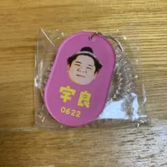 宇良　ガチャ　相撲