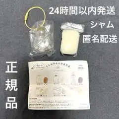 はす様 リクエスト 3点 まとめ商品