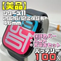 保証有【美品】BT100％ シリーズ11 保護カバー＋バンド＋充電器 1969