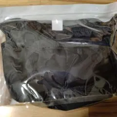 Item thumbnail for item 366618a7-44ef-46f8-a233-77830785f208