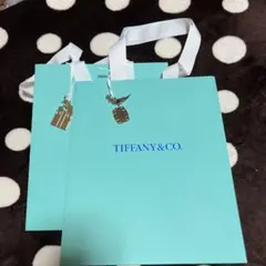 TIFFANY&CO. チャーム付ショッピングバッグ 中型2枚セット