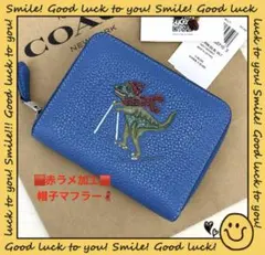 レア】新品コーチ ブルー系 レキシー 二つ折り恐竜 スキー - メルカリ