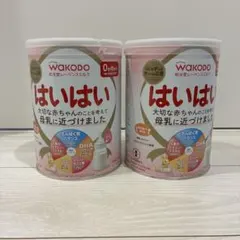 和光堂 はいはい 粉ミルク 0ヶ月から 810g2缶セット - メルカリ