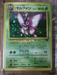 L*s様 ポケモンカード　旧裏　モルフォン