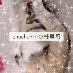 chuchun...♡様 リクエスト 2点 まとめ商品