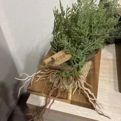 フェイクグリーン 壁掛けタイプ