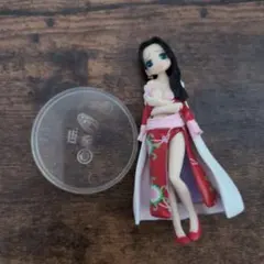 Half Age Characters ワンピース girls party!