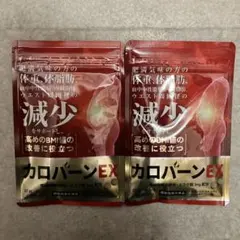 カロバーンEX 60粒入り ダイエットサプリのサムネイル