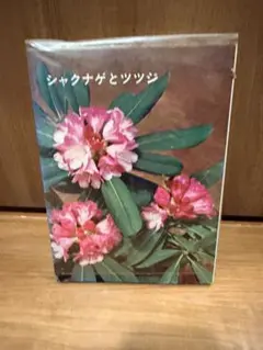 シャクナゲとツツジ 園芸 植物 図鑑