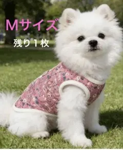 ラムリン様 リクエスト 2点 まとめ商品