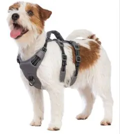 Huntboo 犬用ハーネス XSブラック