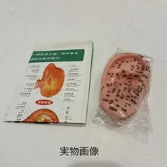 2025年最新】耳ツボジュエリーテキスト講座の人気アイテム