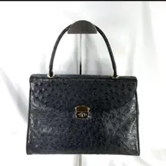 モデルロイヤル　ハンドバッグ　オーストリッチ　　ドイツ製　ブラック　高級