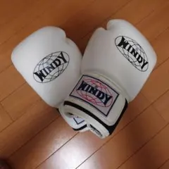 最終価格 WINDY ボクシンググローブ 14オンス BGVH ホワイトのサムネイル